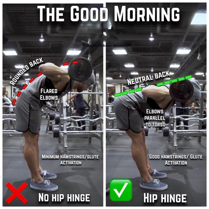 how-to-good-mornings-proper-form-exercise-videos-guides