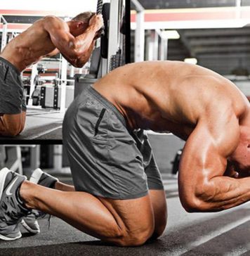 How to Kneeling Cable Crunch | Exercise Videos & Guides execution Kneeling Cable Crunch