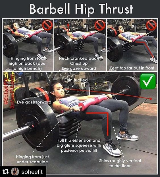 Technique of execution Barbell Hip-Thrust