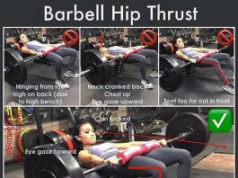 The Barbell Hip-Thrust exercises