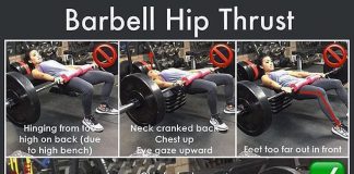 The Barbell Hip-Thrust exercises