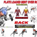 T-Bar Row – Variation Back Row