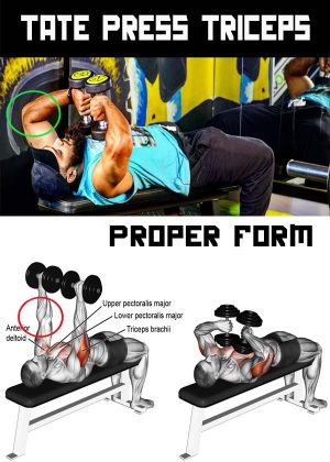 How to Tate Press Proper Form with Dumbbells, Technique