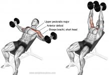 Executing Dumbbell Flyes 