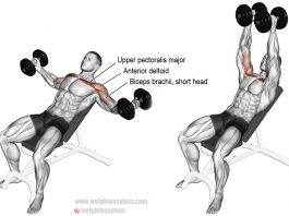 Executing Dumbbell Flyes 