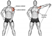 Single-Arm Dumbbell Lateral Raises