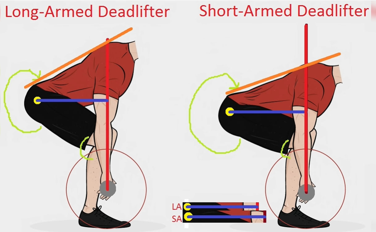 How to Do RACK PULLS