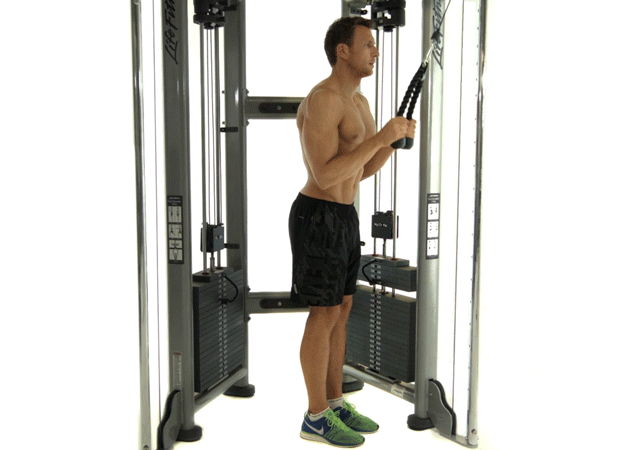 Variations of Exercise Tricep Pushdown