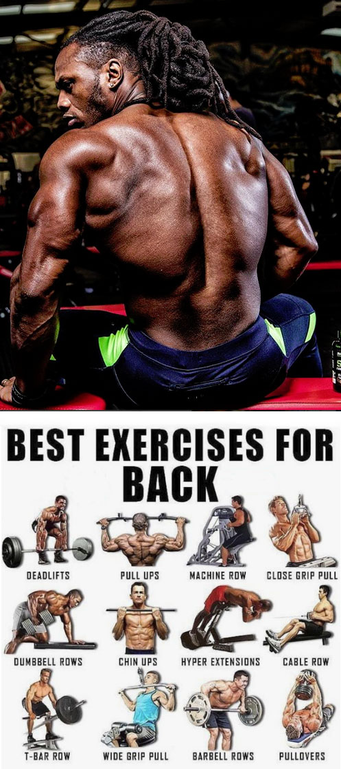 BEST EXERCISES FOR BACK