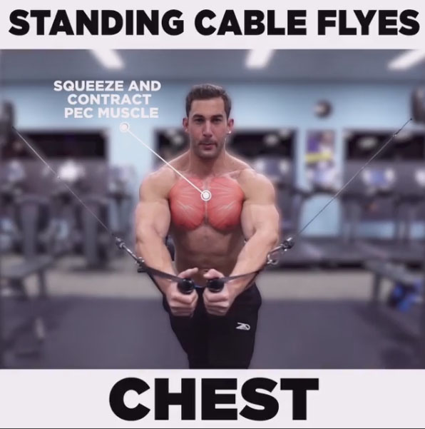 Technique of doing the exercise STANDING CHEST FLYE