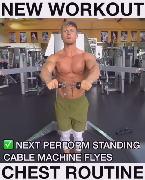 Exercise Cable Machine Flyes