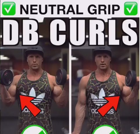 Neutral Angle Bicep Curl Routine