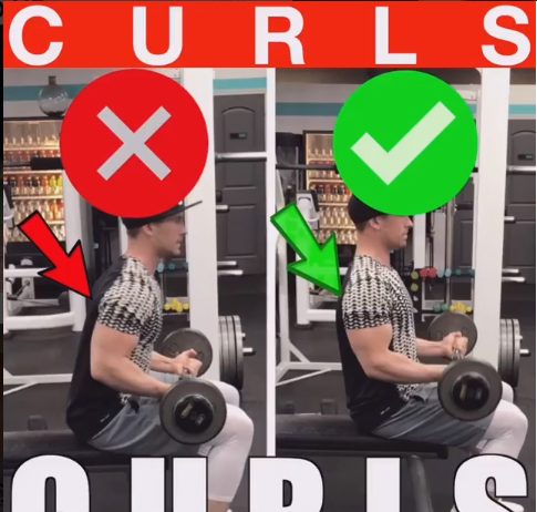 How to Seated Bicep Curls