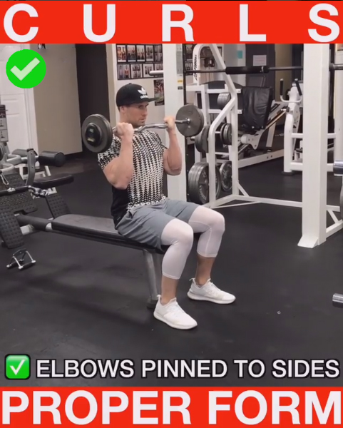 How to Seated Bicep Curls (RIGHT)