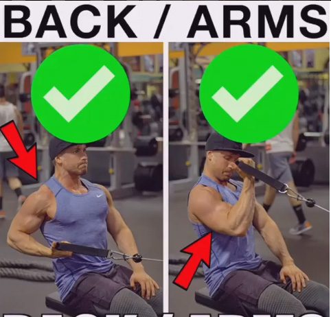 How to Back & Bicep Exercise Proper Form