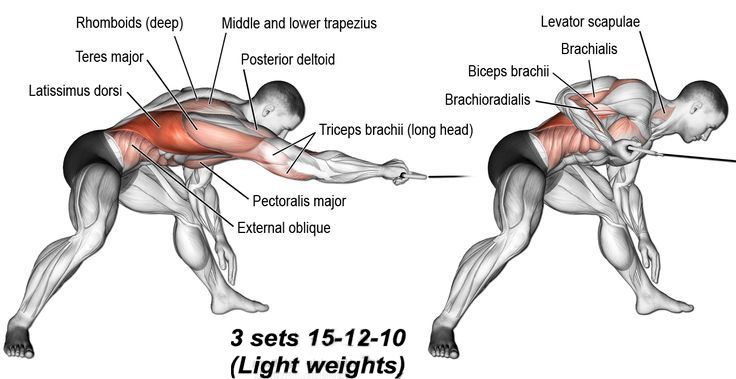 Exercise Options One-arm Cable Pulley Rows on pic below (Exercises for the Back) 