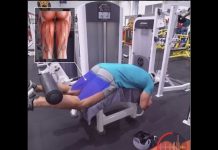 How to LYING LEG CURL | Videos & Guides