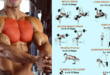 Chest And Triceps Superset Workout