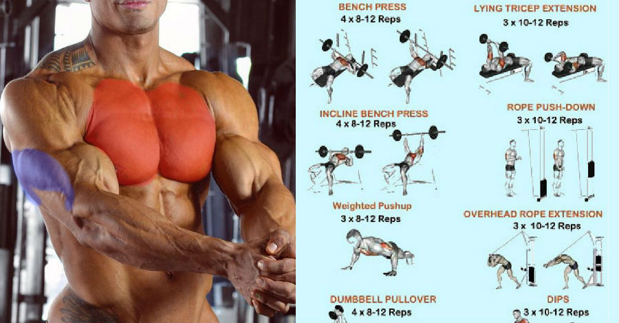 Chest And Triceps Superset Workout
