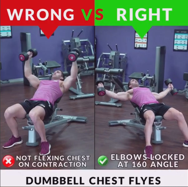 DUMBBELL CHEST FLYES