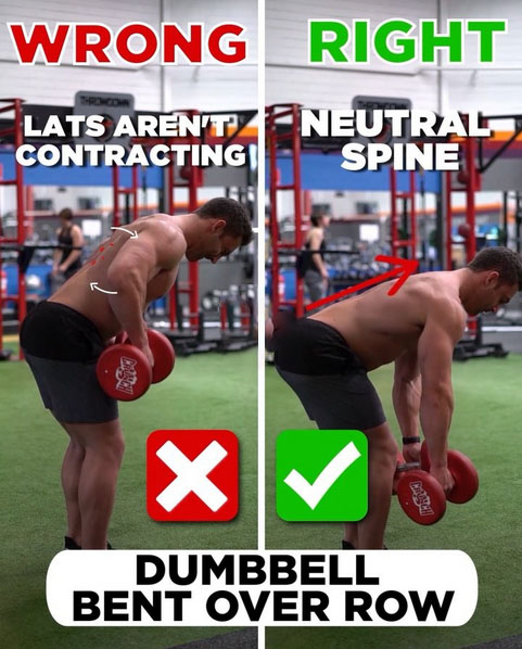 DUMBBELL BENT OVER ROW
