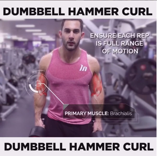 HOW TO DUMBBELL HAMMER CURL