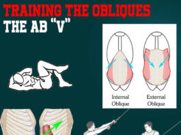 Kinetics Training the Obliques Kinetics Training the Obliques