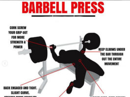 DIFFERENCE BETWEEN | BARBELL PRESS & DUMBBELL PRESS Difference Between BARBELL PRESS&DUMBBELL PRESS