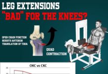 leg extensions “bad” for your knees?