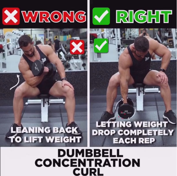 🚨DUMBBELL CONCENTRATION CURL ❌WRONG &✅RIGHT