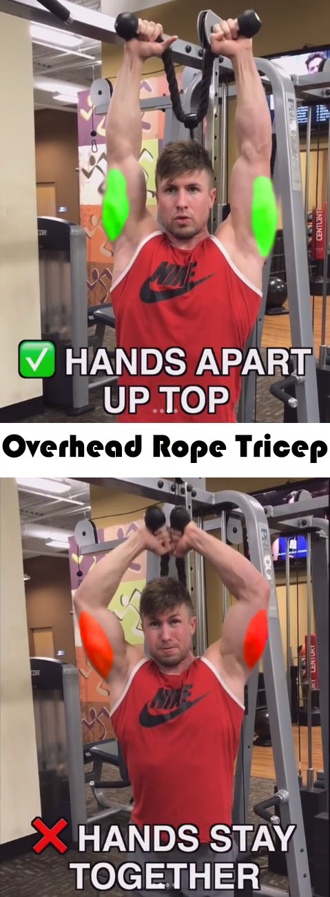 Overhead Rope Tricep Extensions