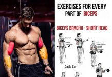 Cable Hammer Curl | Guide & Tips Cable Biceps curl
