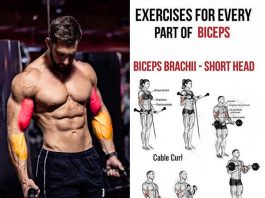 Cable Biceps curl
