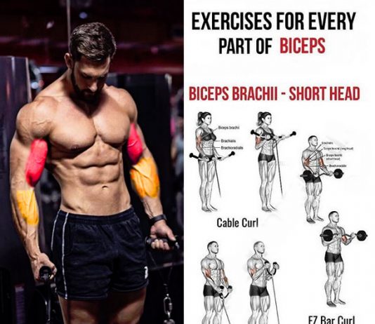 Cable Biceps curl