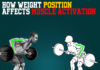 How does weight position effect muscle activation?