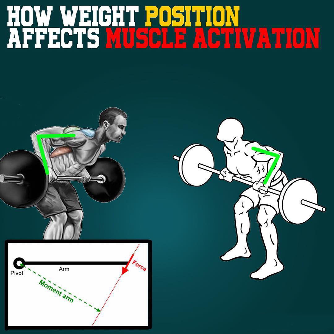 How does weight position effect muscle activation?