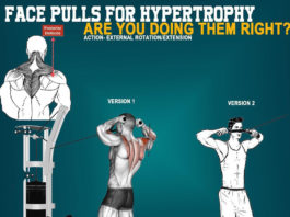 FACE-PULLS FOR HYPERTORPY