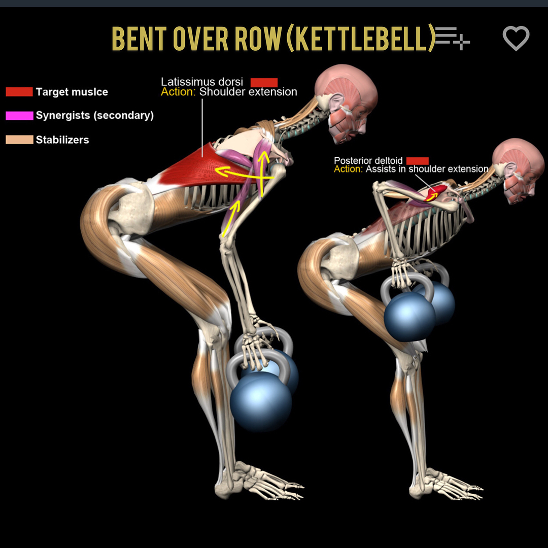 About Kettlebell Training