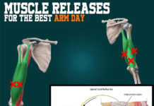 Muscle Releases for Your Arm Day Muscle Releases for Your Arm Day