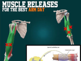 Muscle Releases for Your Arm Day