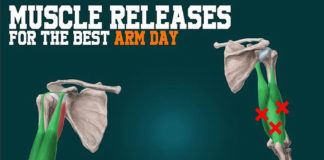 Muscle Releases for Your Arm Day