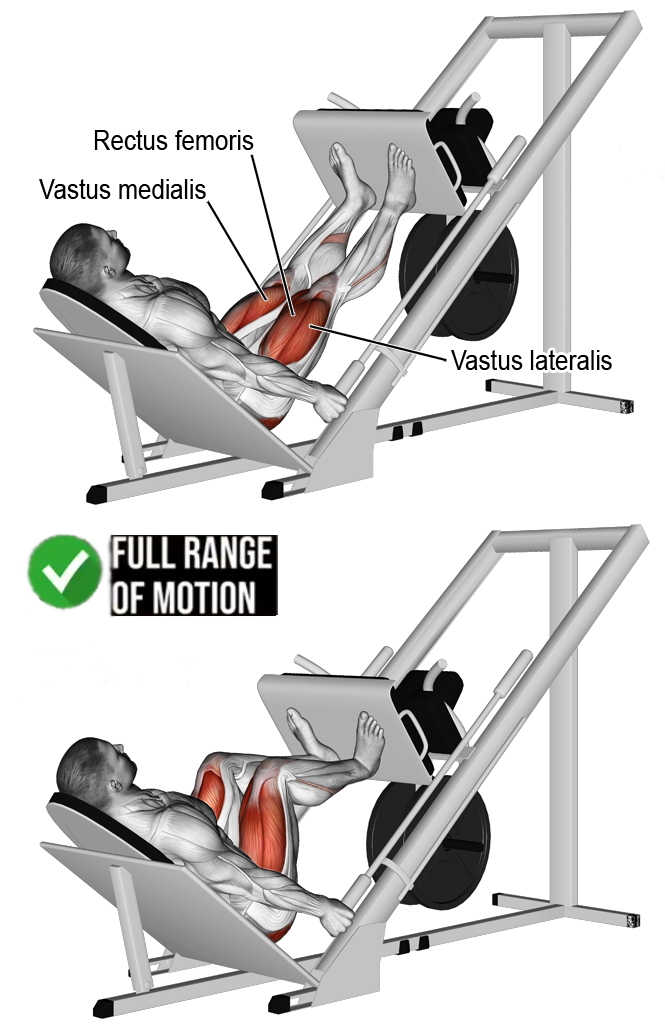 How to  Incline Leg Press 