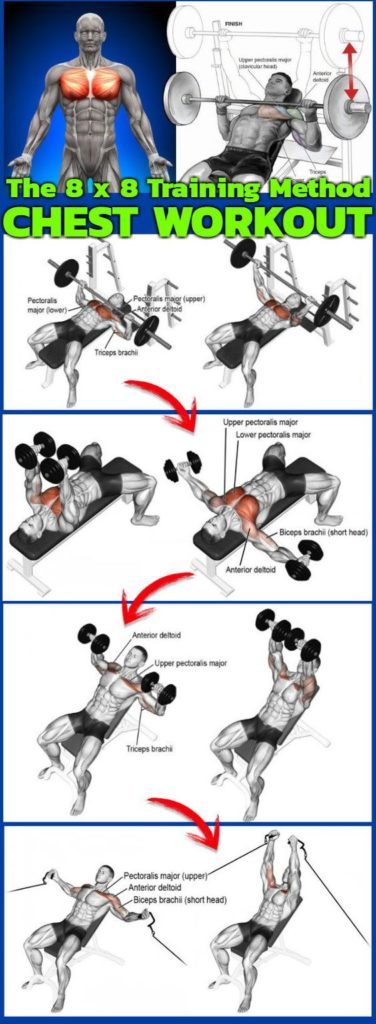 The 8 x 8 Training Method Chest WorkOut | Guide