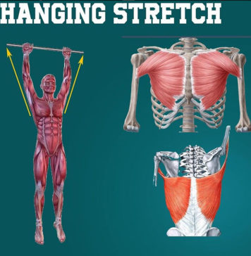 HOW TO HANGING STRETCH | Kinetics Guide