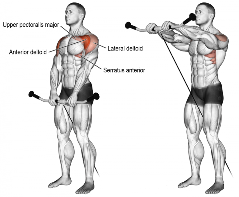 How To Underhand Ez Bar Front Raise 