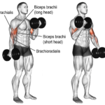 HOW TO ALTERNATE DB CURL