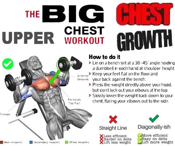 The Big Chest Workout