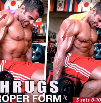 How to Seated Dumbbell Shrugs Proper Form | Video & Guide How to Do Dumbbell Shrug