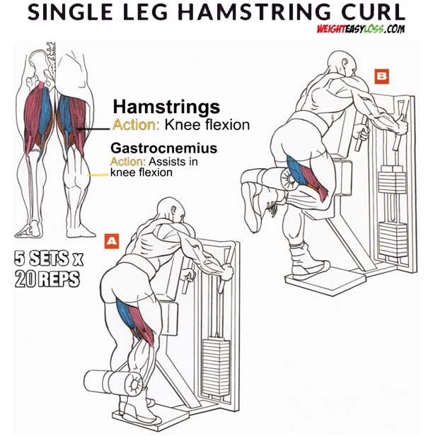 Single-Leg What is Standing Hamstring Curl Training ?