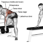 HOW TO DO DUMBBELL ROW